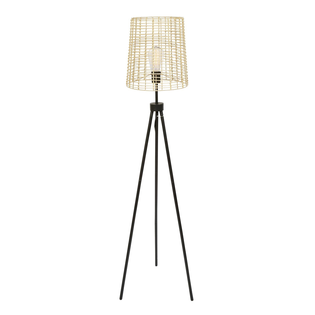 Iron Floor Lamp - Black