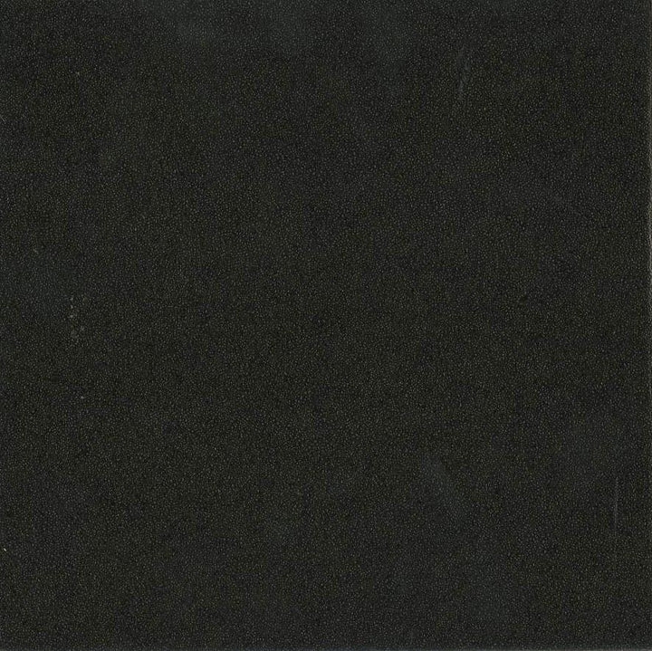 Basin 24 Inch 2 Door Base Storage Cabinet - Black