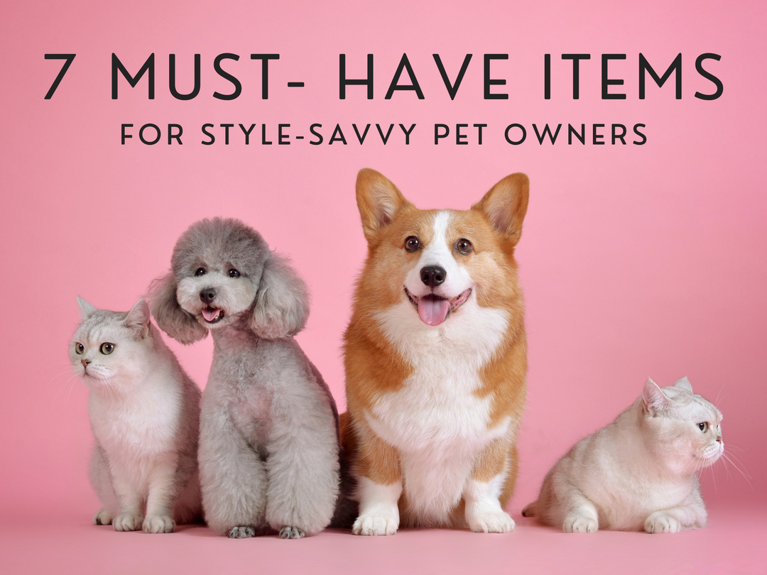7 Must-Have Items for Style-Savvy Pet Owners
