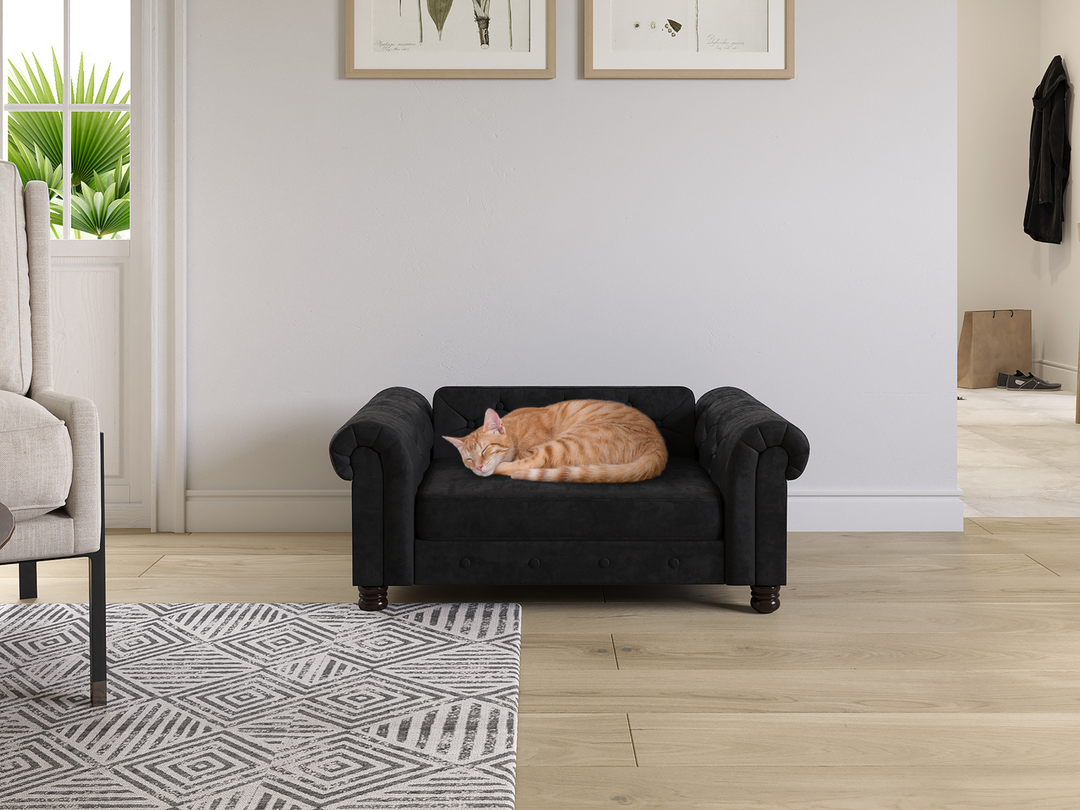 Pet Beds