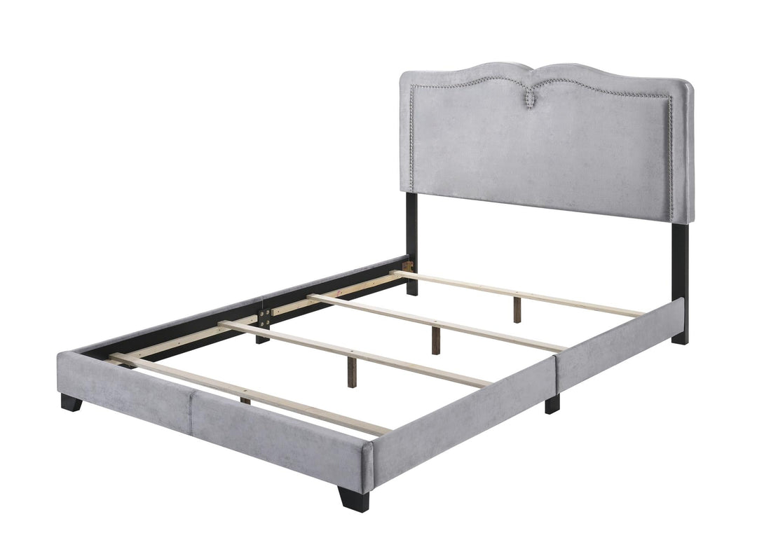 Reuben Velvet Bed with Decorative Nailhead Trim - Gray