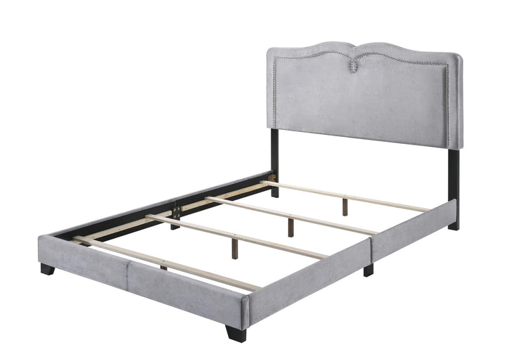 Reuben Velvet Bed with Decorative Nailhead Trim - Gray