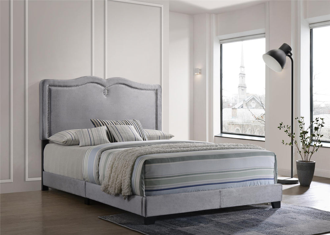 Modern Velvet Bed with Decorative Nailhead Trim - Gray