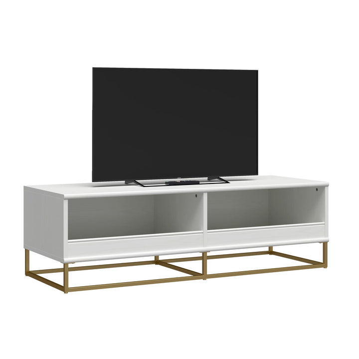 Modern TV stand for young audience -  White