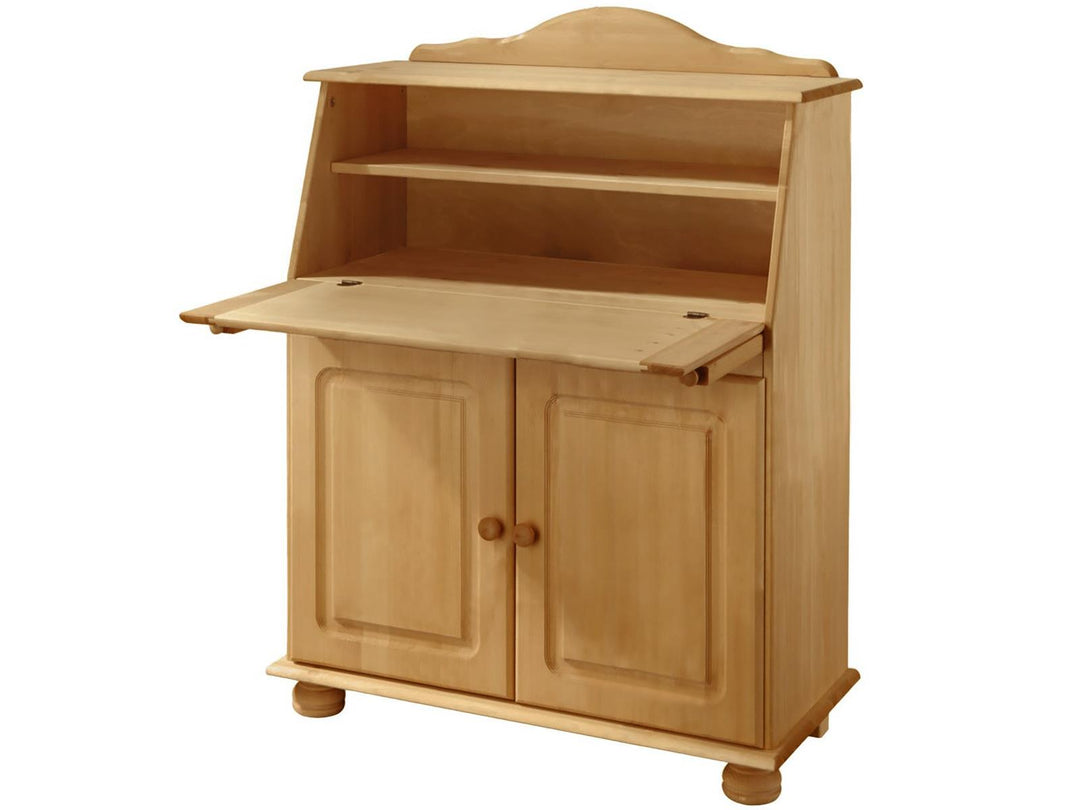 Chester Solid Wood Storage Desk with Bottom Closed Storage Cabinet - Brown