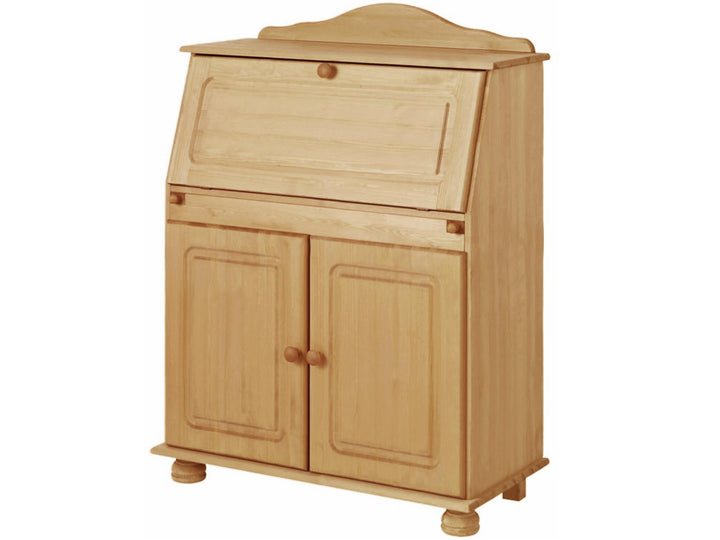 Chester Solid Wood Storage Desk with Bottom Closed Storage Cabinet - Brown