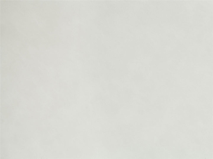 Set of 2 leather side chairs - White