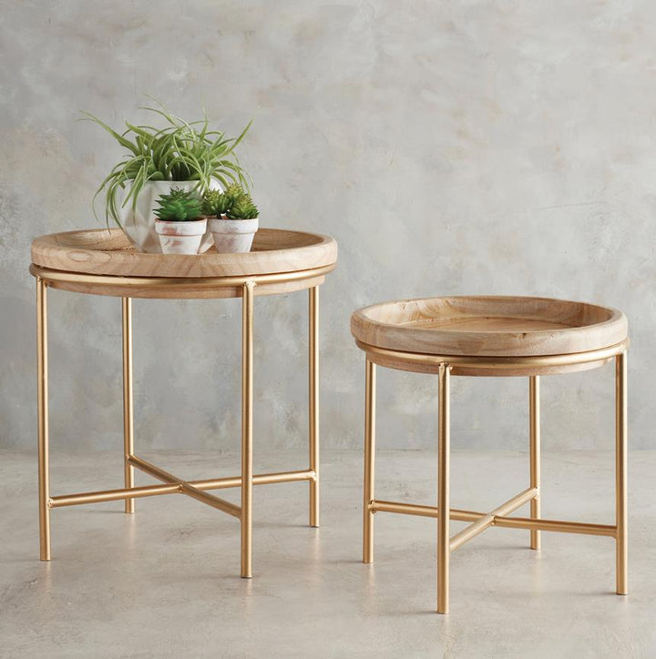 Wood Plant Stand with Metal Base, Set of 2 - Gold