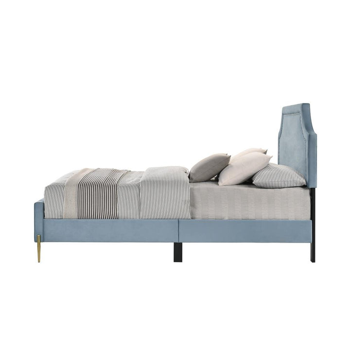 Upholstered Bed with  - Light Blue - Queen