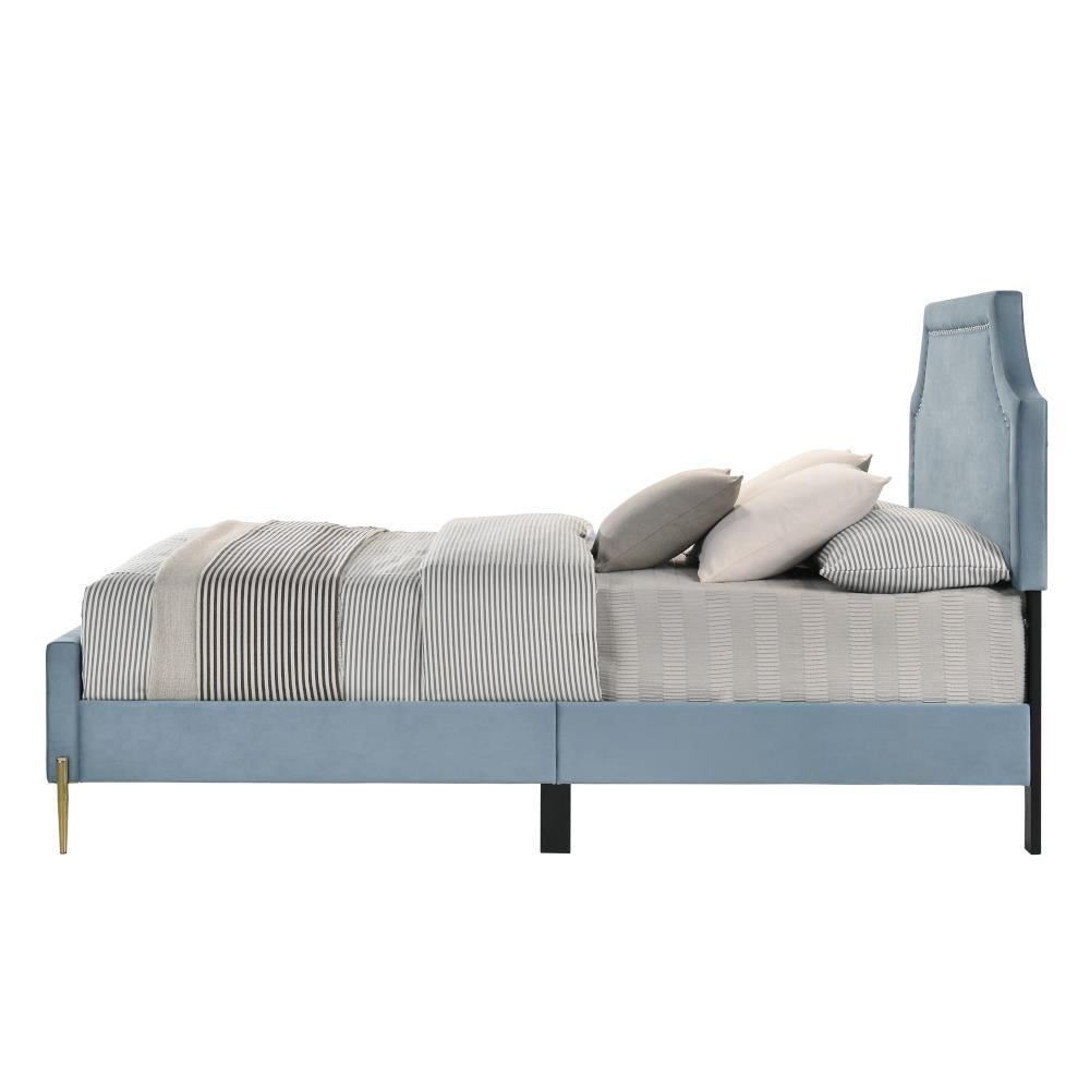 Upholstered Bed with  - Light Blue - King