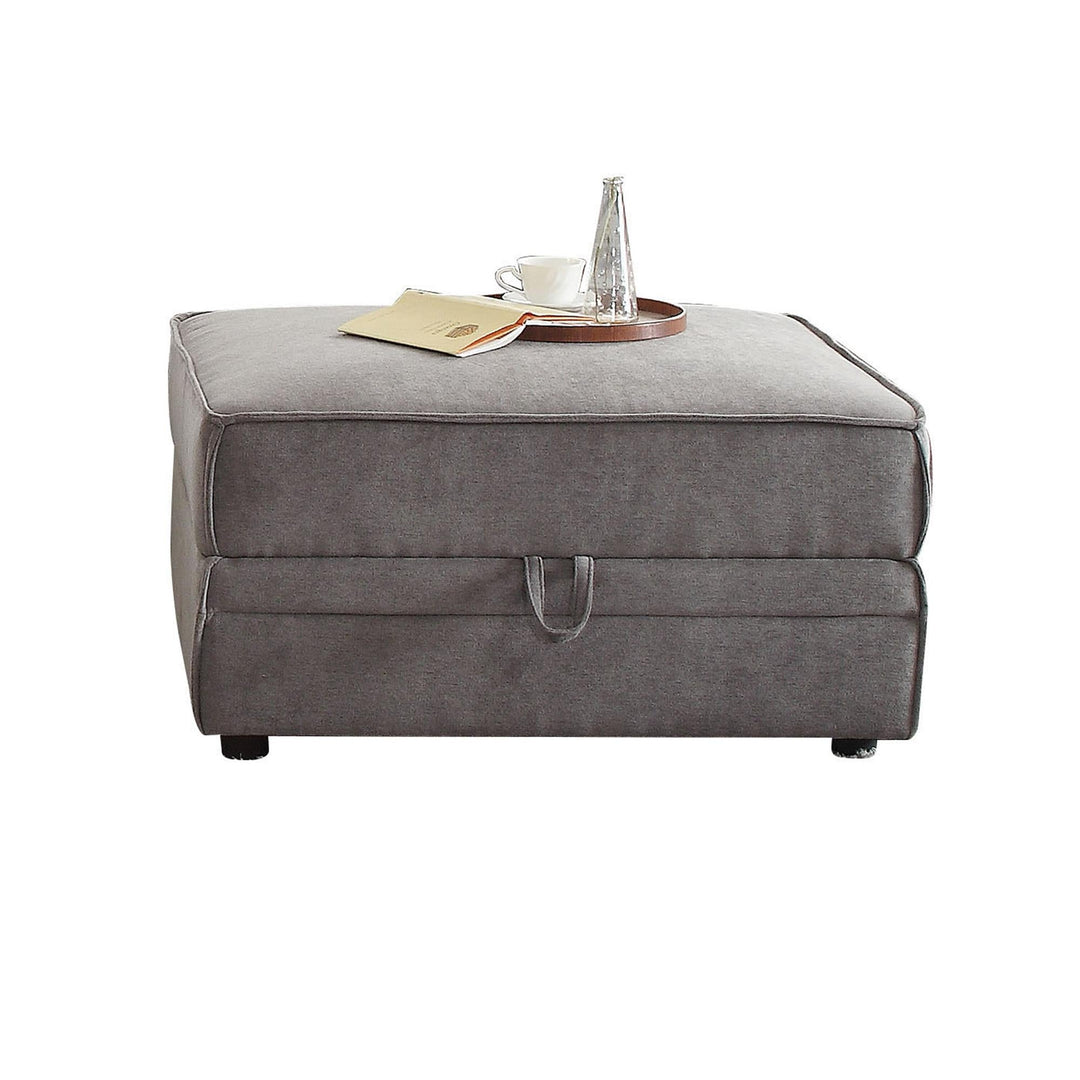 Bois Velvet Ottoman with Storage - Gray
