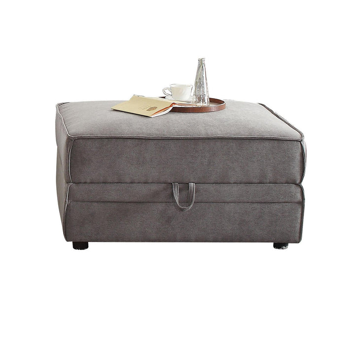 Bois Velvet Ottoman with Storage - Gray