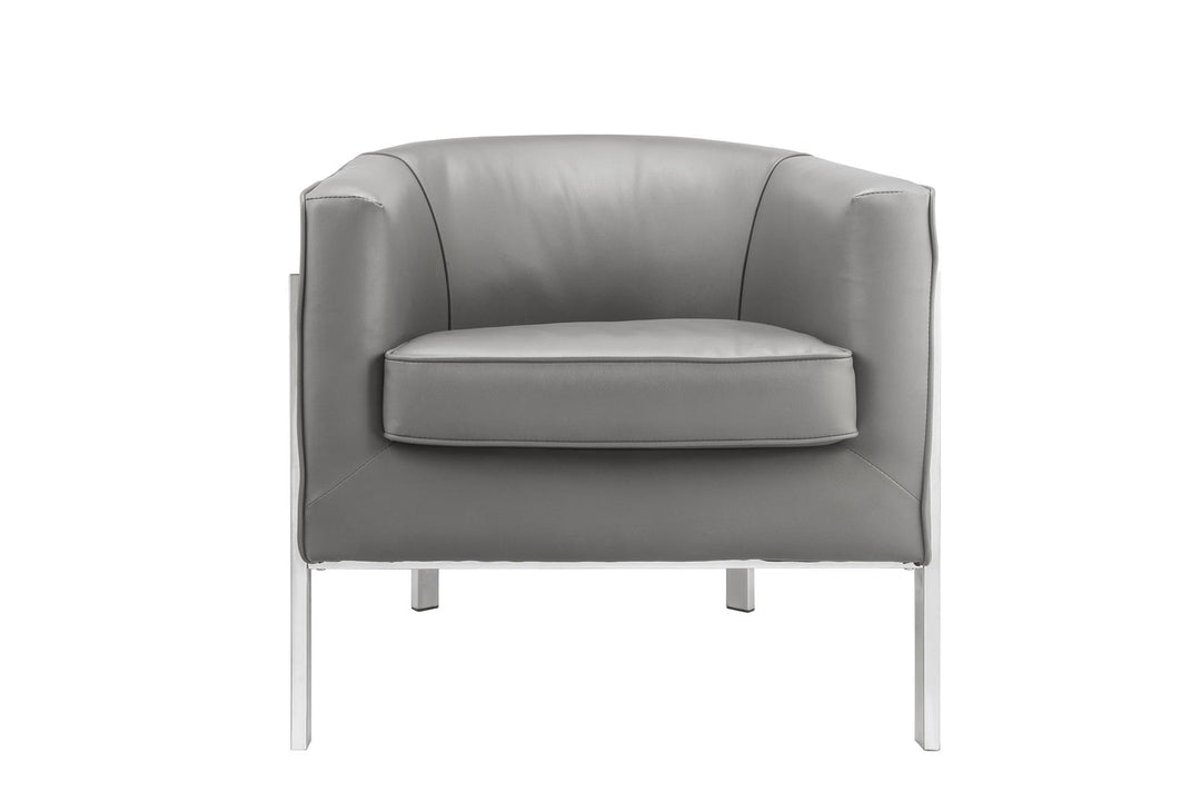 Tiarnan Bucket Accent Chair with Metal Frame - Gray