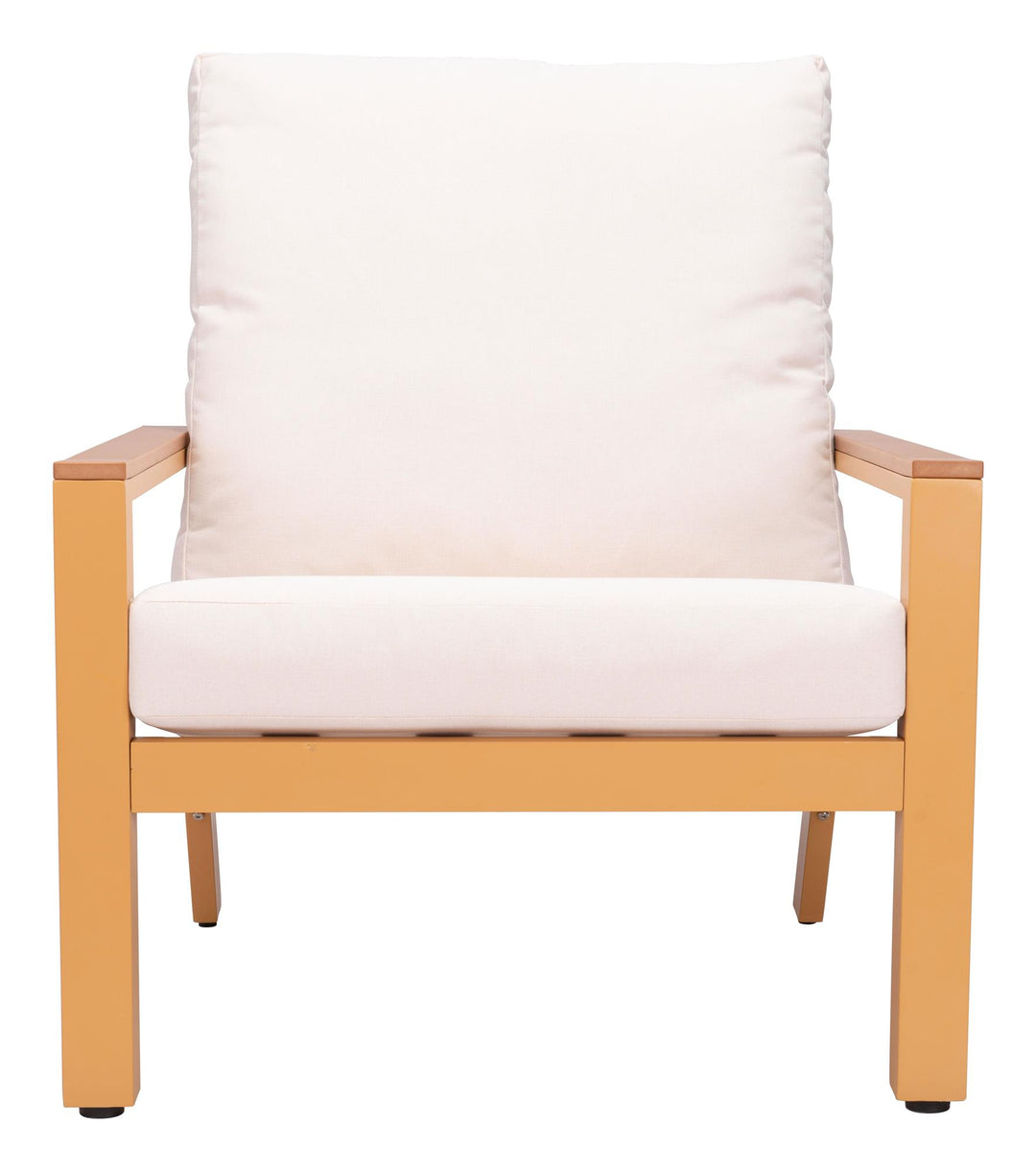 Theoni Accent Chair with Removable/Washable Cushions  -  N/A