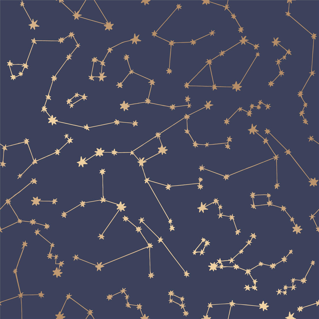 Constellations Navy Peel and Stick Wallpaper - Navy