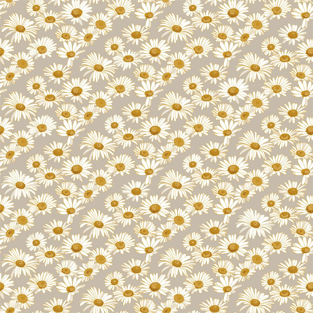 Daisies Peel and Stick Wallpaper  -  Greige