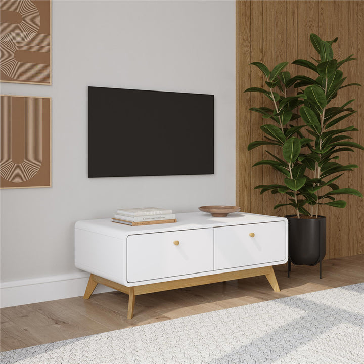 Leva Scandinavian Style TV Stand with 2 Drawers - White