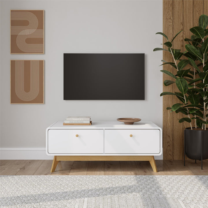 Leva Scandinavian Style TV Stand with 2 Drawers - White
