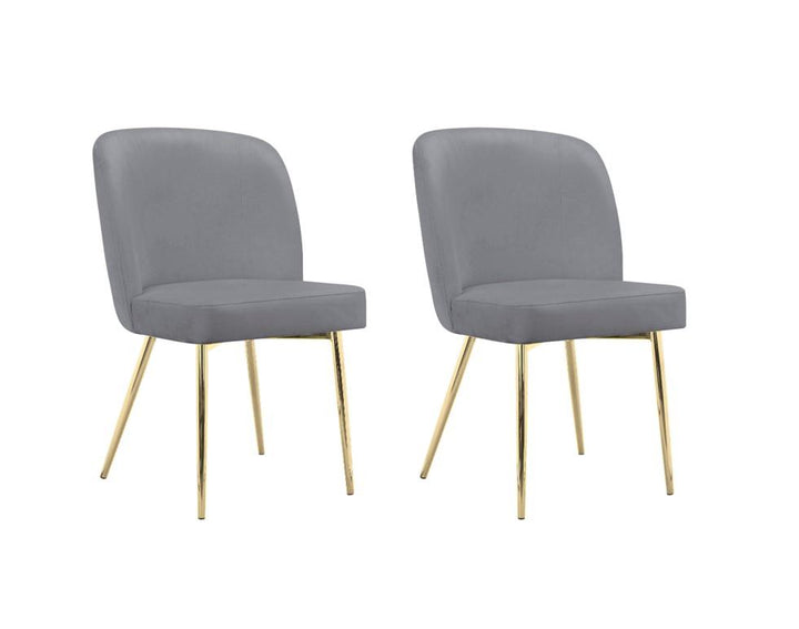 Trina Dining Chair with Chrome Plated Gold Legs, Set of 2 - Gray - Set of 2