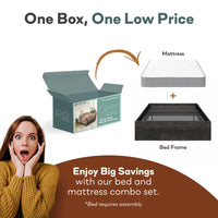 DreamSaver Platform Bed Frame with 6 Inch Mattress Included