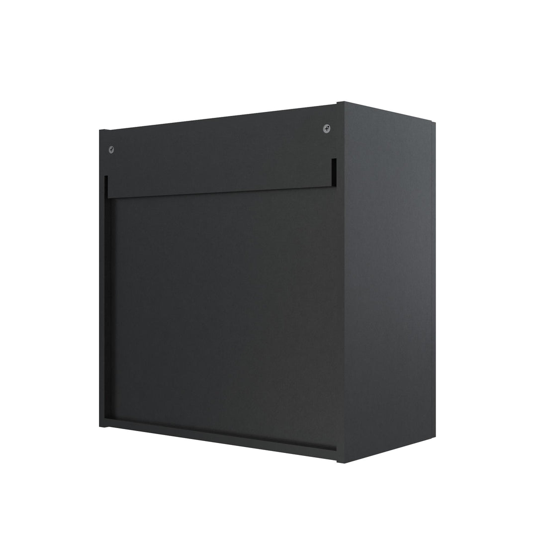 Basin 24 Inch 2 Door Wall Storage Cabinet - Black