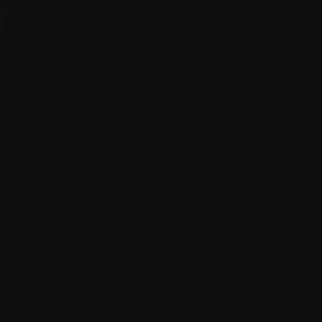 Bushwick Metal Daybed & Trundle - Black - Twin