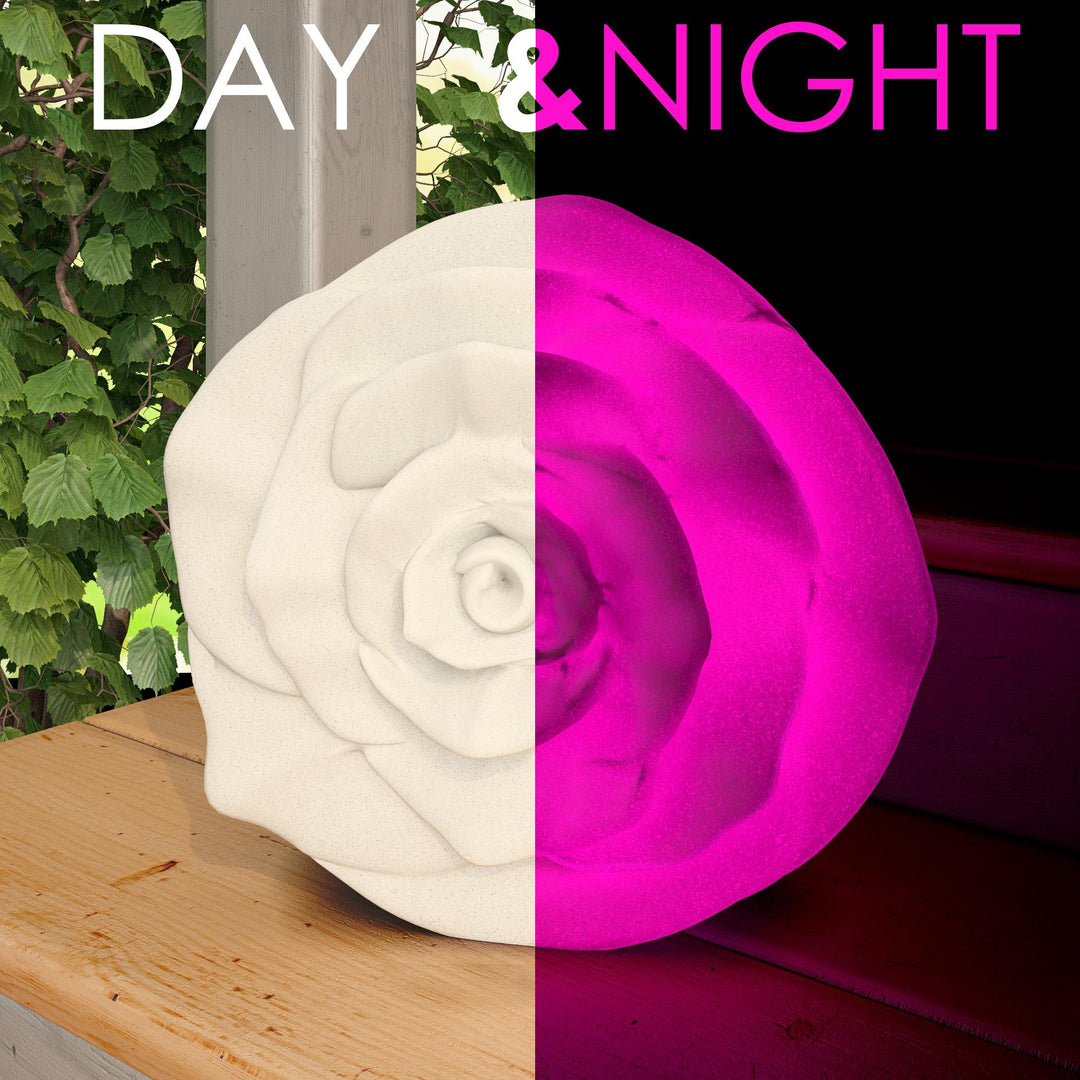 Outdoor rose with lighting -  White