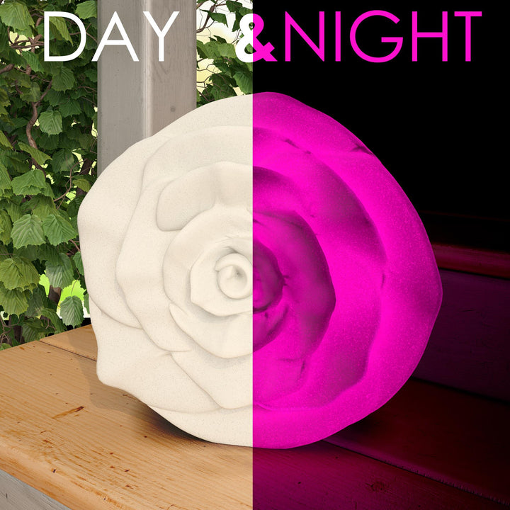 Outdoor rose with lighting -  White