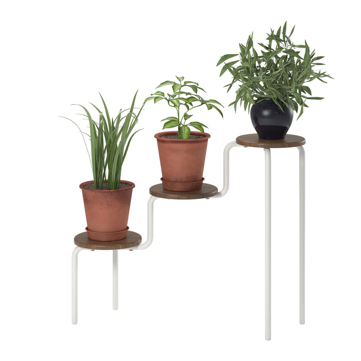 Webster Plant Stand  -  Florence Walnut
