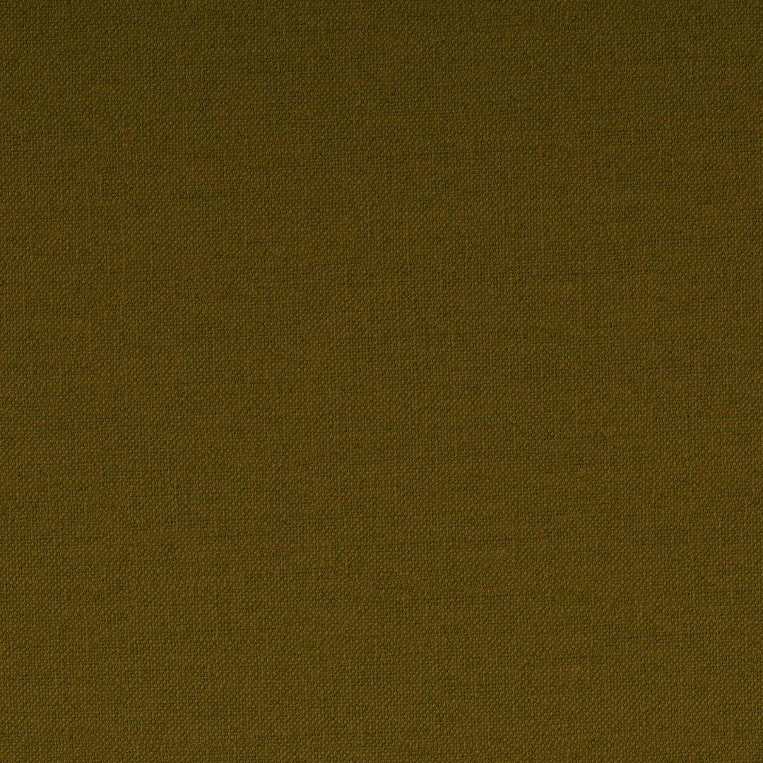 Functional and Comfortable Brittany Futon Sofa -  Green