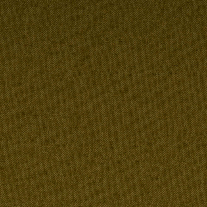 Functional and Comfortable Brittany Futon Sofa -  Green